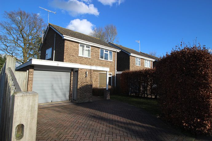 Three Bedroom Link Detached House with Garage